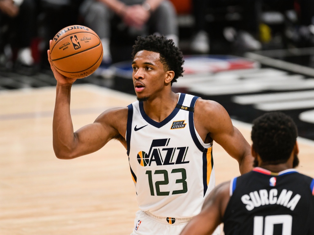 他在荷兰国 他在荷兰国